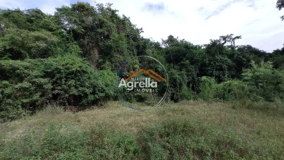 Foto 6 de Sítio / Rancho com 3 quartos à venda, 25000m2 em Jardim Primavera, Mogi Mirim - SP