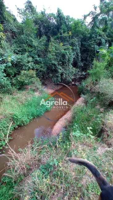 Foto 1 de Sítio / Rancho com 3 quartos à venda, 25000m2 em Jardim Primavera, Mogi Mirim - SP