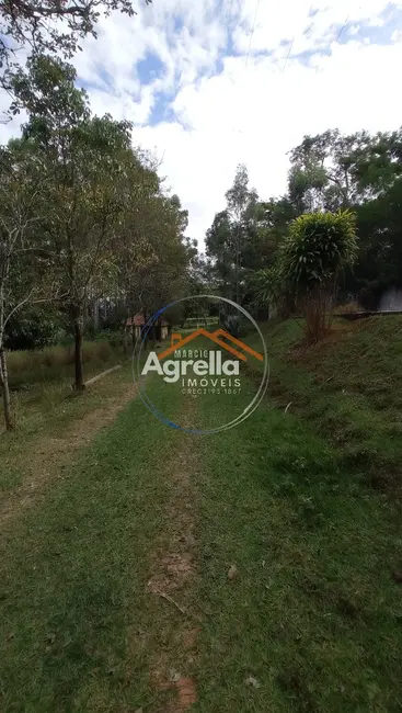 Foto 9 de Sítio / Rancho com 3 quartos à venda, 25000m2 em Jardim Primavera, Mogi Mirim - SP