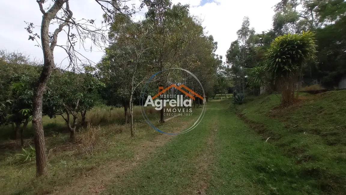 Foto 5 de Sítio / Rancho com 3 quartos à venda, 25000m2 em Jardim Primavera, Mogi Mirim - SP