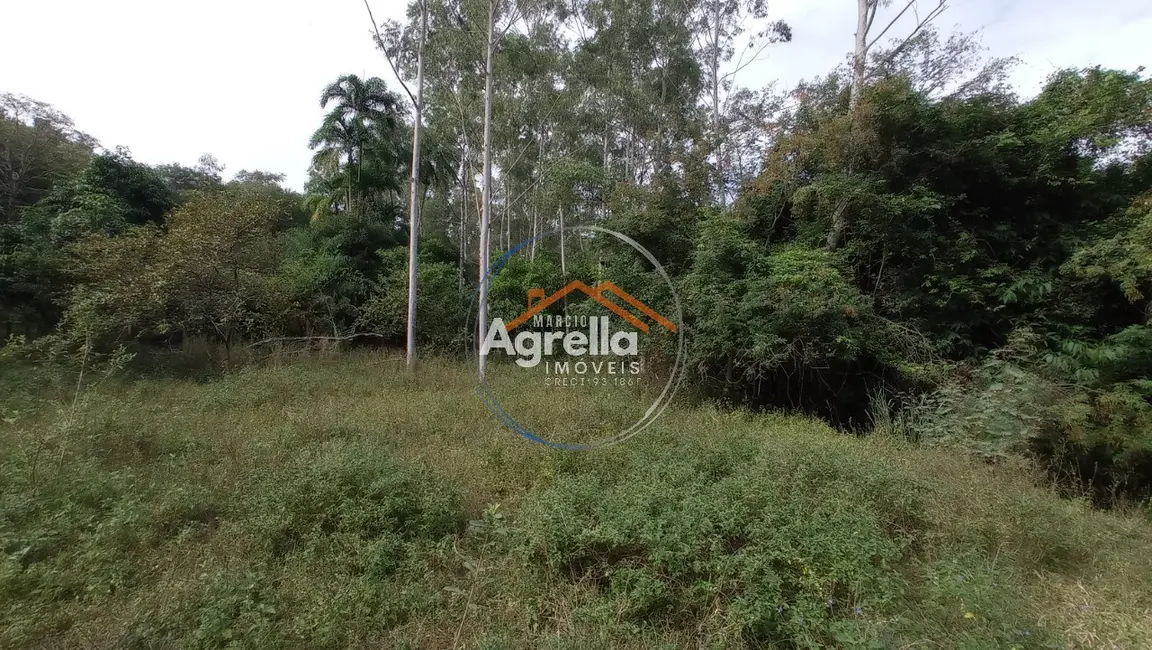 Foto 3 de Sítio / Rancho com 3 quartos à venda, 25000m2 em Jardim Primavera, Mogi Mirim - SP