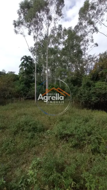 Foto 7 de Sítio / Rancho com 3 quartos à venda, 25000m2 em Jardim Primavera, Mogi Mirim - SP