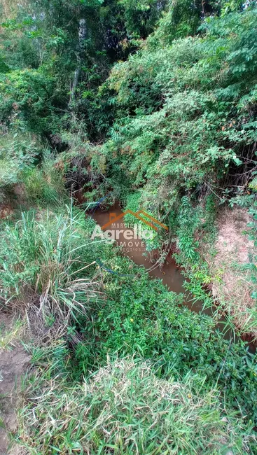 Foto 2 de Sítio / Rancho com 3 quartos à venda, 25000m2 em Jardim Primavera, Mogi Mirim - SP