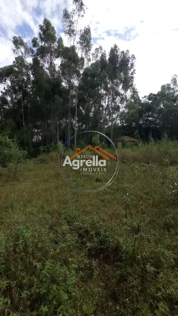 Foto 8 de Sítio / Rancho com 3 quartos à venda, 25000m2 em Jardim Primavera, Mogi Mirim - SP