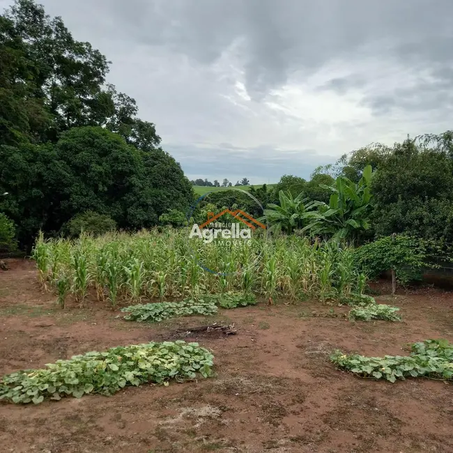 Foto 7 de Chácara com 2 quartos à venda, 11500m2 em Paraíso da Cachoeira, Mogi Mirim - SP