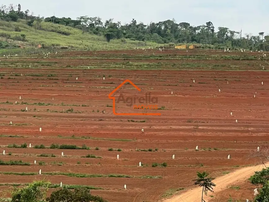 Sítio / Rancho com 2 quartos à venda, 200m2 em Área Rural de Itapira, Itapira - SP - imagem 9 Foto 9 de Sítio / Rancho com 2 quartos à venda, 200m2 em Área Rural de Itapira, Itapira - SP
