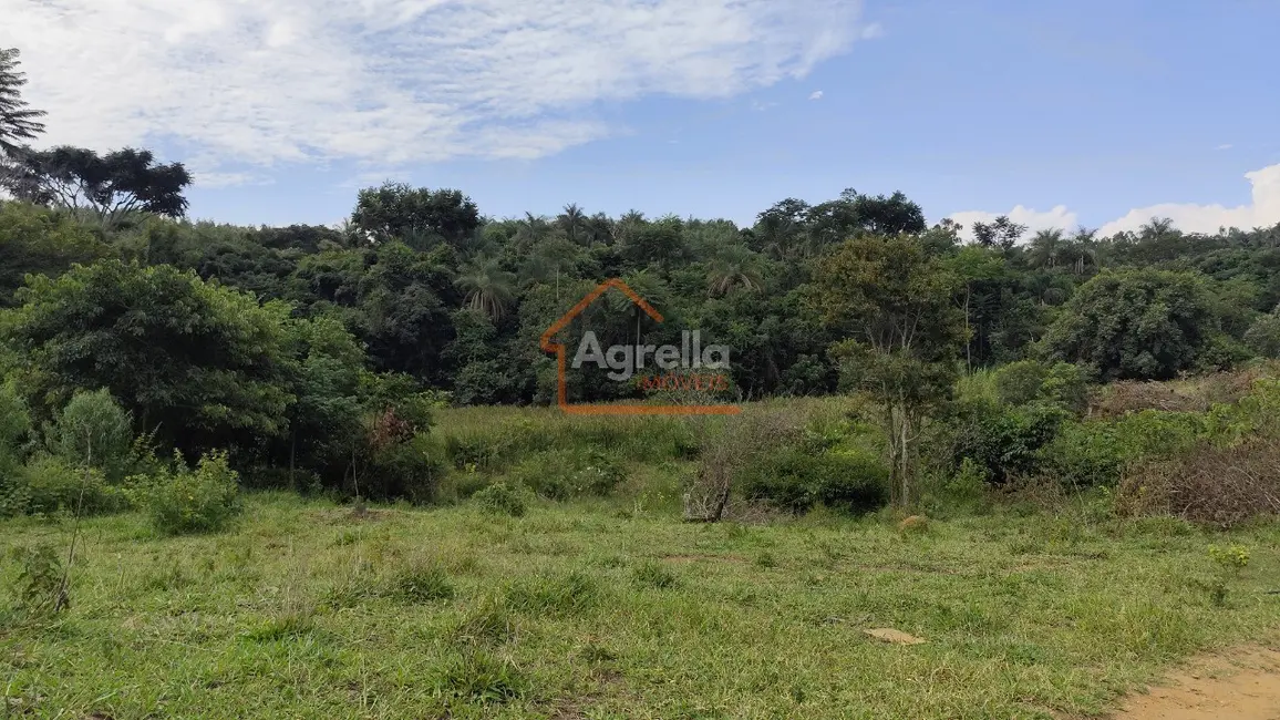 Foto 5 de Sítio / Rancho com 1 quarto à venda, 181500m2 em Mogi Mirim - SP