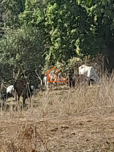 Foto 6 de Sítio / Rancho com 1 quarto à venda, 181500m2 em Mogi Mirim - SP