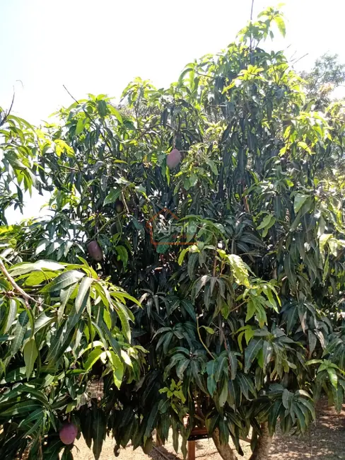 Foto 9 de Chácara com 1 quarto à venda, 800m2 em Mogi Mirim - SP