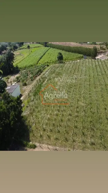 Foto 2 de Sítio / Rancho com 2 quartos à venda, 165m2 em Artur Nogueira - SP