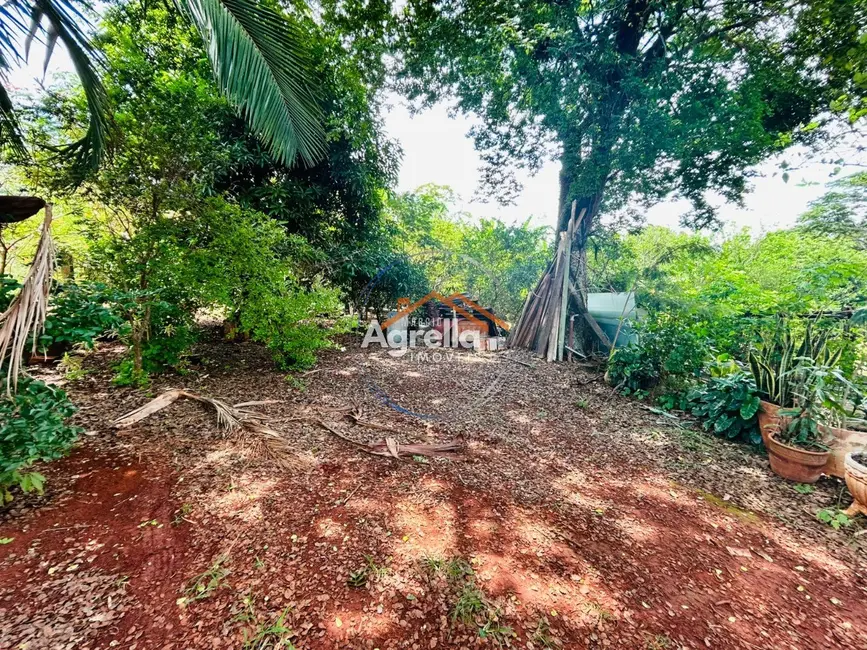 Foto 7 de Chácara com 1 quarto à venda, 25m2 em Mogi Mirim - SP