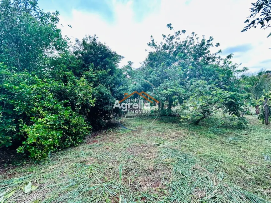 Foto 4 de Chácara com 1 quarto à venda, 25m2 em Mogi Mirim - SP