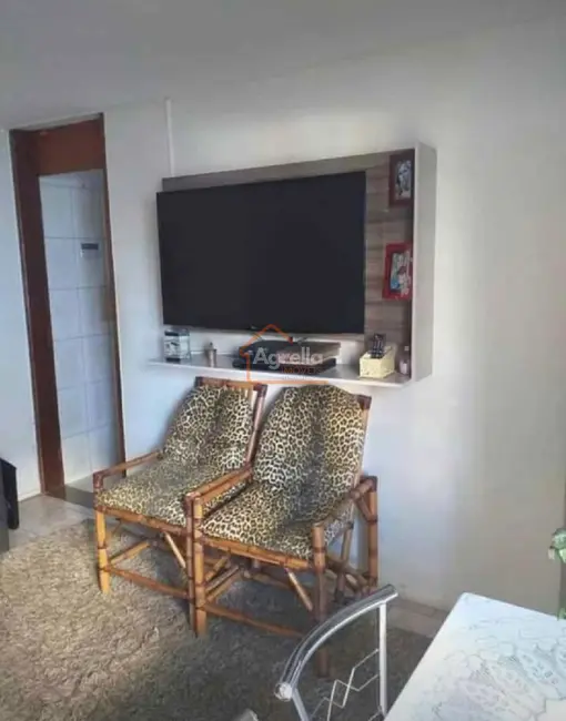 Foto 1 de Apartamento com 2 quartos à venda, 45m2 em Mogi Mirim - SP