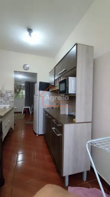Foto 3 de Apartamento com 2 quartos à venda, 46m2 em Mogi Mirim - SP