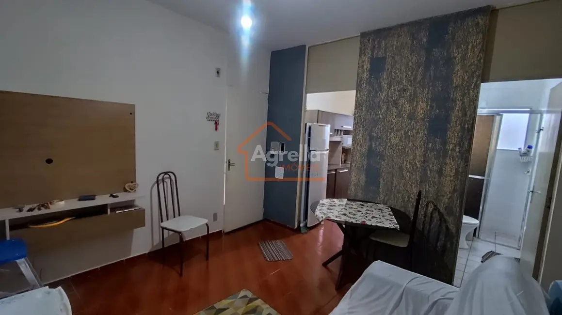Foto 7 de Apartamento com 2 quartos à venda, 46m2 em Mogi Mirim - SP