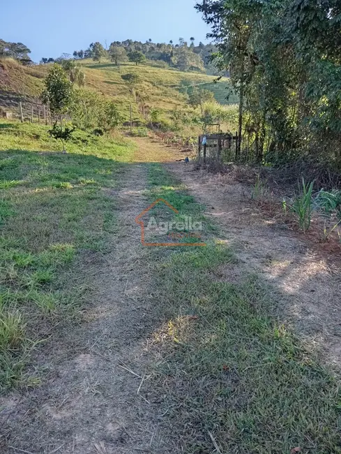 Sítio / Rancho à venda em Área Rural de Itapira, Itapira - SP - imagem 20 Foto 20 de Sítio / Rancho à venda em Área Rural de Itapira, Itapira - SP
