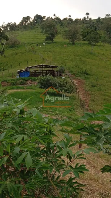 Sítio / Rancho à venda em Área Rural de Itapira, Itapira - SP - imagem 33 Foto 33 de Sítio / Rancho à venda em Área Rural de Itapira, Itapira - SP