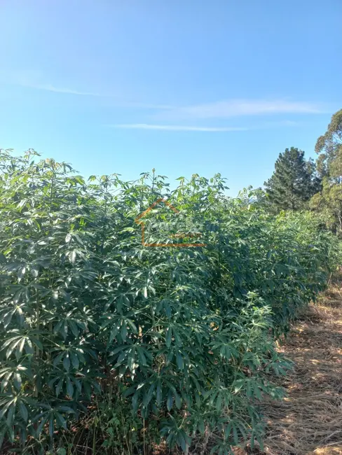 Foto 8 de Sítio / Rancho com 1 quarto à venda em Jacutinga - MG