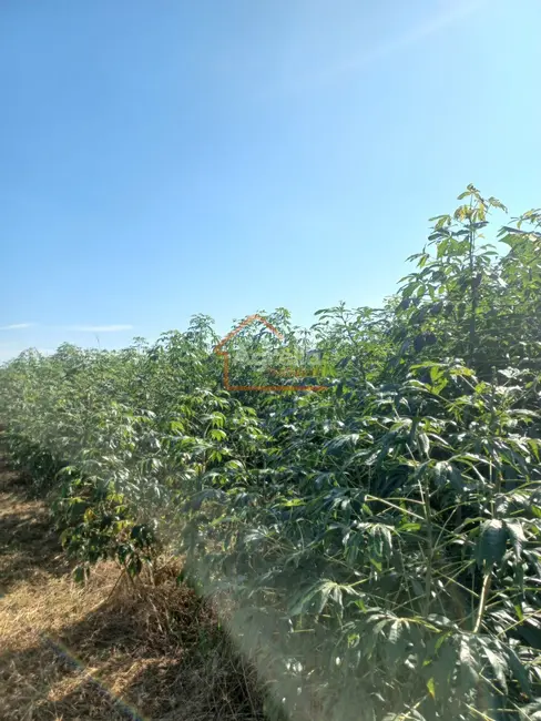 Foto 6 de Sítio / Rancho com 1 quarto à venda em Jacutinga - MG