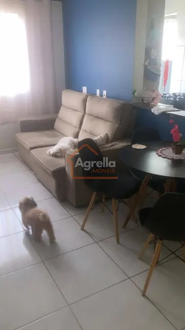 Foto 3 de Apartamento com 2 quartos à venda, 60m2 em Mogi Guacu - SP