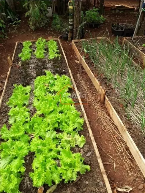 Foto 9 de Chácara com 2 quartos à venda, 1600m2 em Paraíso da Cachoeira, Mogi Mirim - SP