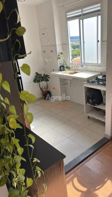 Apartamento com 2 quartos à venda, 46m2 em Mogi Mirim - SP - imagem 2 Foto 2 de Apartamento com 2 quartos à venda, 46m2 em Mogi Mirim - SP