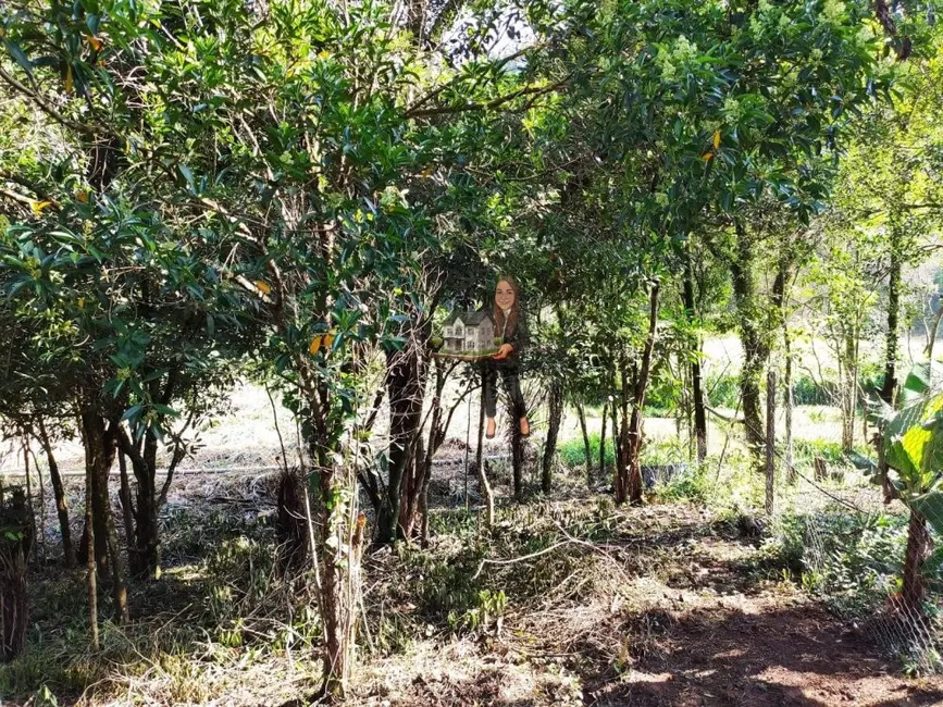 Foto 5 de Terreno / Lote à venda, 1300m2 em Franco Da Rocha - SP
