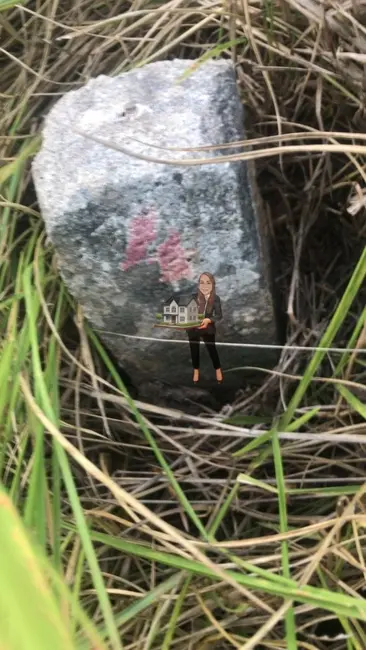 Foto 3 de Terreno / Lote à venda, 150m2 em Laranjeiras, Caieiras - SP