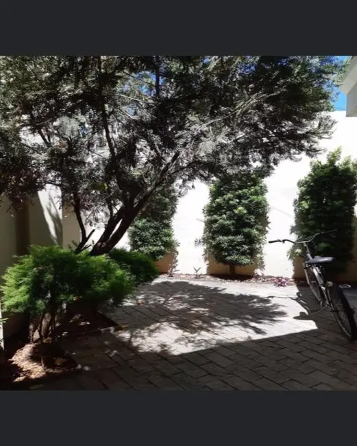 Casa com 4 quartos à venda, 300m2 em Santana, Aracatuba - SP - imagem 6 Foto 6 de Casa com 4 quartos à venda, 300m2 em Santana, Aracatuba - SP