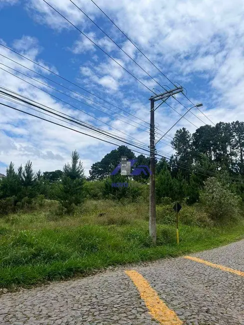 Foto 6 de Sala Comercial à venda, 4973m2 em Paisagem Renoir, Cotia - SP