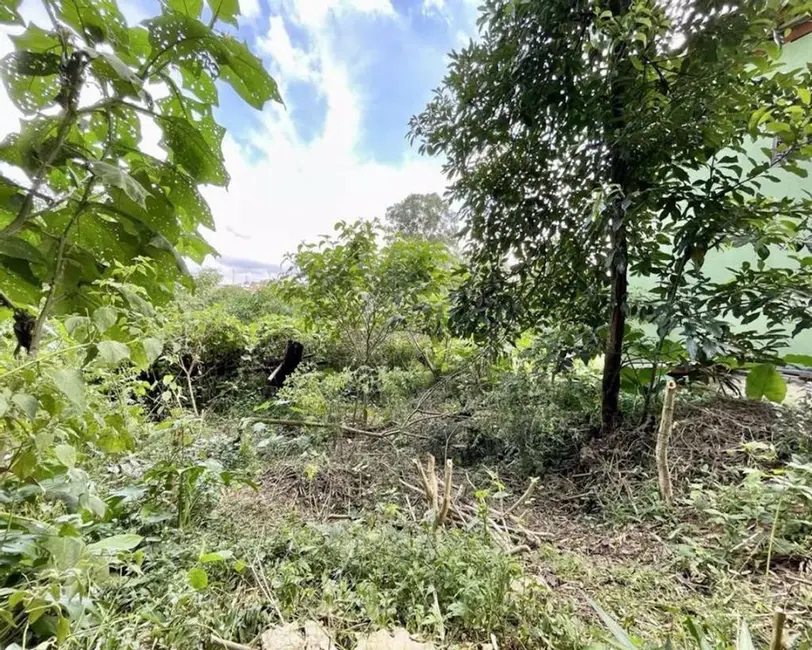 Foto 6 de Terreno / Lote à venda, 907m2 em Vila Santo Antônio, Cotia - SP