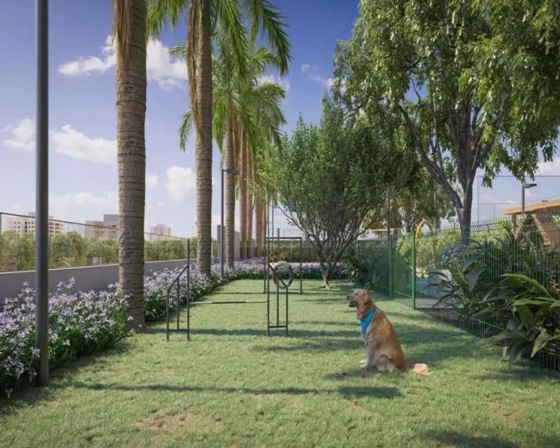 Apartamento com 4 quartos à venda, 320m2 em Jardim Nova Yorque, Aracatuba - SP - imagem 3 Foto 3 de Apartamento com 4 quartos à venda, 320m2 em Jardim Nova Yorque, Aracatuba - SP