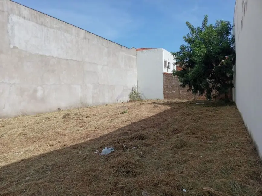 Foto 2 de Terreno / Lote à venda, 336m2 em Ipanema, Aracatuba - SP