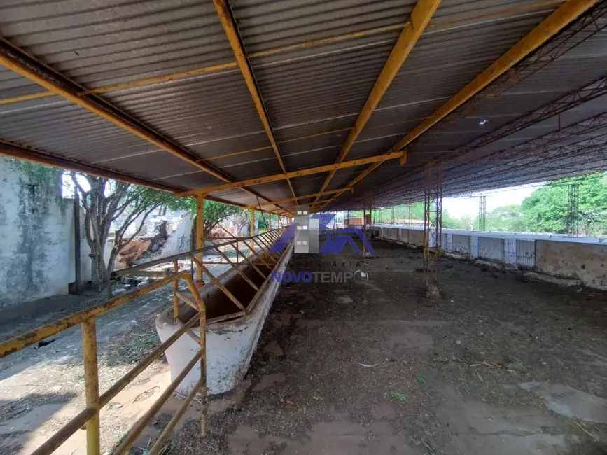 Foto 26 de Chácara à venda, 72600m2 em Aracatuba - SP