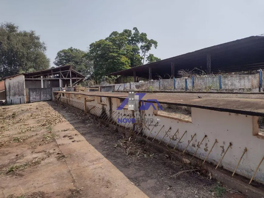 Foto 18 de Chácara à venda, 72600m2 em Aracatuba - SP