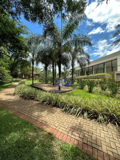 Terreno / Lote à venda, 360m2 em Santa Luzia, Aracatuba - SP - imagem 3 Foto 3 de Terreno / Lote à venda, 360m2 em Santa Luzia, Aracatuba - SP