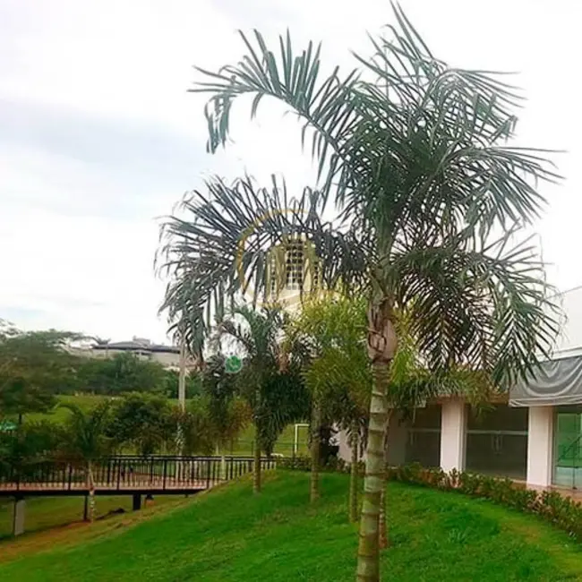 Foto 6 de Terreno / Lote à venda, 400m2 em Residencial Gaivota II, Sao Jose Do Rio Preto - SP