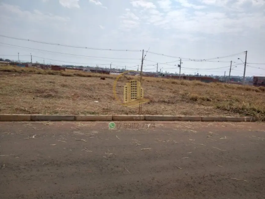 Foto 6 de Terreno / Lote à venda, 160m2 em Mirassol - SP