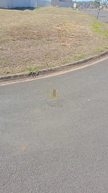 Terreno / Lote à venda, 237m2 em Bady Bassitt - SP - imagem 9 Foto 9 de Terreno / Lote à venda, 237m2 em Bady Bassitt - SP