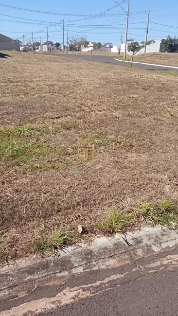 Terreno / Lote à venda, 237m2 em Bady Bassitt - SP - imagem 6 Foto 6 de Terreno / Lote à venda, 237m2 em Bady Bassitt - SP