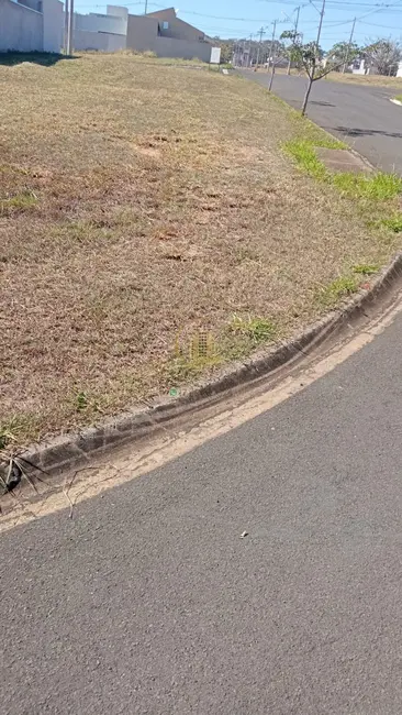 Terreno / Lote à venda, 237m2 em Bady Bassitt - SP - imagem 4 Foto 4 de Terreno / Lote à venda, 237m2 em Bady Bassitt - SP