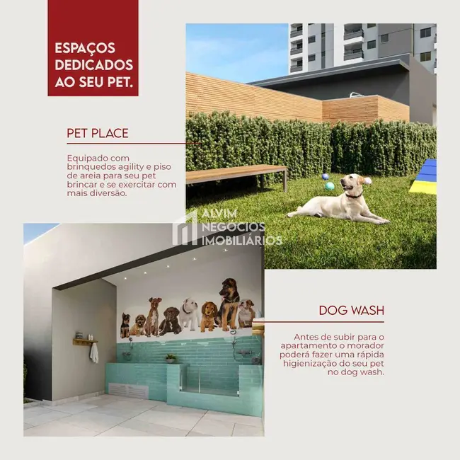 Apartamento com 3 quartos à venda, 149m2 em Sao Jose Dos Campos - SP - imagem 6 Foto 6 de Apartamento com 3 quartos à venda, 149m2 em Sao Jose Dos Campos - SP
