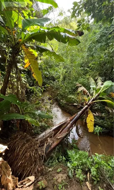 Foto 2 de Chácara à venda, 14000m2 em Centro, Pedra Bela - SP