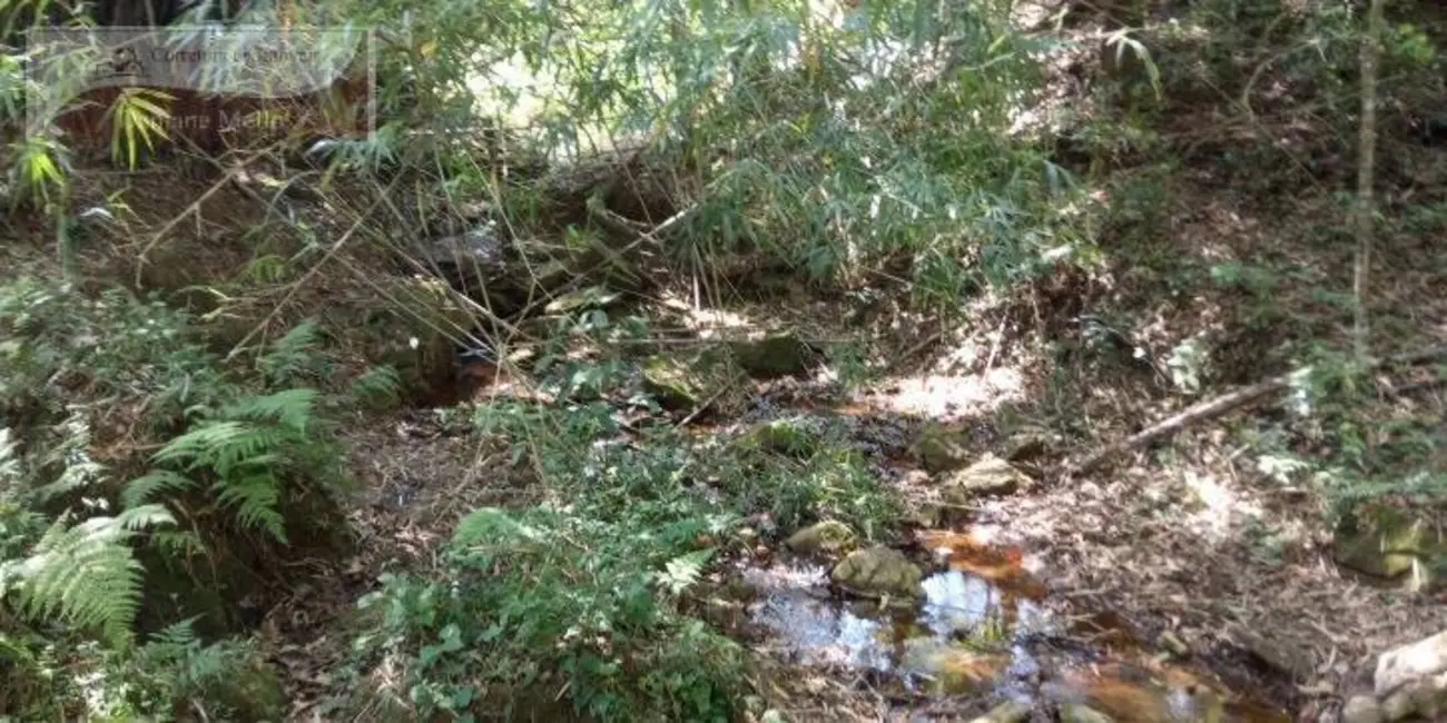 Foto 7 de Sítio / Rancho com 2 quartos à venda e para alugar, 40m2 em Pedra Bela - SP