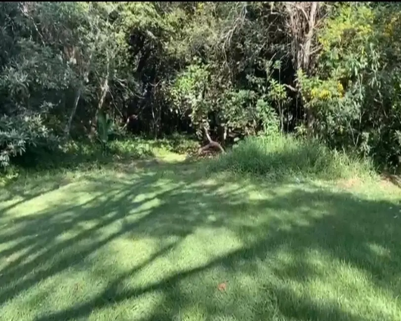 Foto 3 de Terreno / Lote à venda, 2580m2 em Vila Velha, Santana De Parnaiba - SP