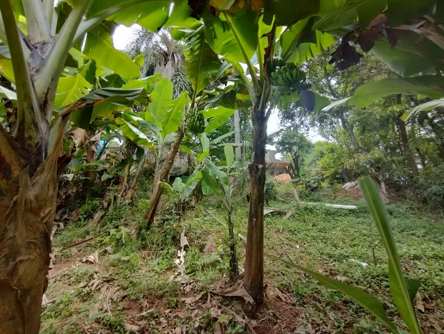 Terreno / Lote à venda, 2000m2 em Chácaras São Luís, Santana De Parnaiba - SP - imagem 5 Foto 5 de Terreno / Lote à venda, 2000m2 em Chácaras São Luís, Santana De Parnaiba - SP