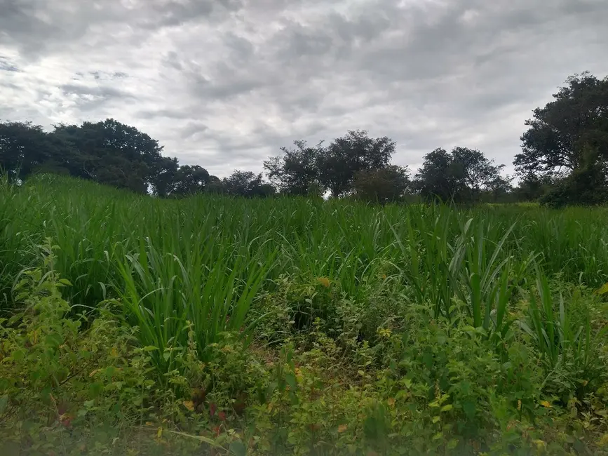 Foto 1 de Fazenda / Haras com 4 quartos à venda, 150000m2 em Esmeraldas - MG