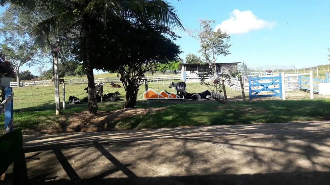 Fazenda / Haras com 5 quartos à venda, 790000m2 em Esmeraldas - MG - imagem 7 Foto 7 de Fazenda / Haras com 5 quartos à venda, 790000m2 em Esmeraldas - MG