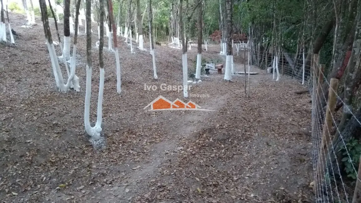 Chácara à venda em Centro, Esmeraldas - MG - imagem 26 Foto 26 de Chácara à venda em Centro, Esmeraldas - MG