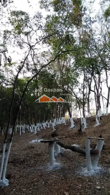 Chácara à venda em Centro, Esmeraldas - MG - imagem 20 Foto 20 de Chácara à venda em Centro, Esmeraldas - MG